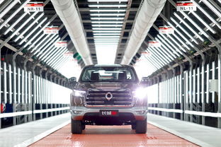 上市即爆款，長城炮十月銷量突破5020臺領(lǐng)跑市場