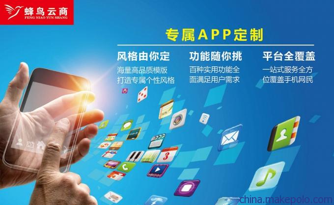 福建廈門網(wǎng)站建設手機APP開發(fā)企業(yè)軟件外包公司4
