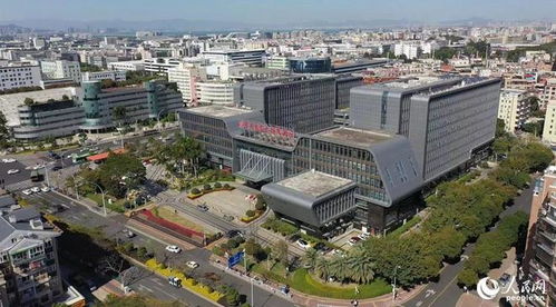 搭建平臺 編制目錄 廈門持續(xù)優(yōu)化政策促進軟件產(chǎn)業(yè)高質量發(fā)展